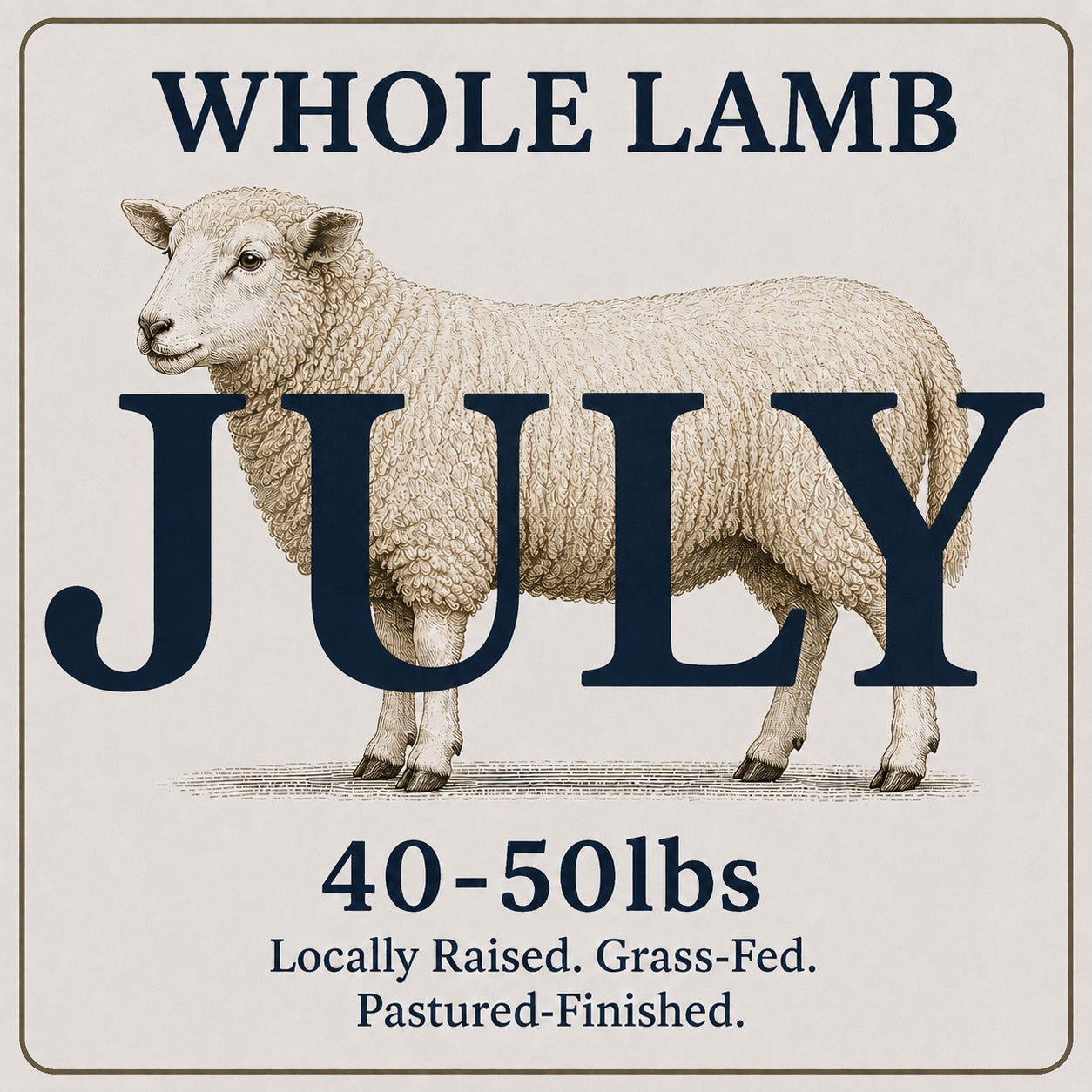 Whole Lamb (40–50 lbs) (July)