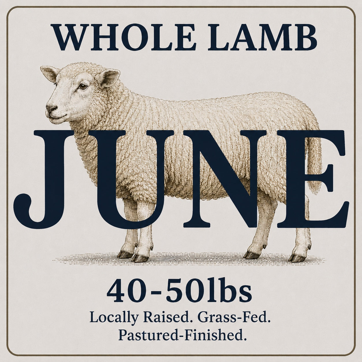 Whole Lamb (40–50 lbs) (June)
